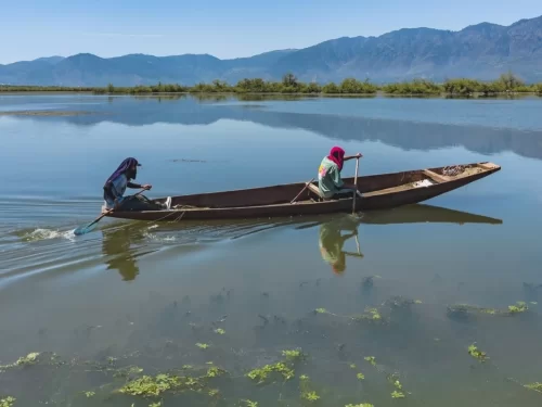 Wular Lake Bandipora vast freshwater lake with traditional boat ride and scenic Himalayan backdrop in Kashmir