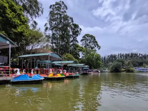 Yercaud Lake, scenic boating lake in Yercaud surrounded by lush hills and serene greenery