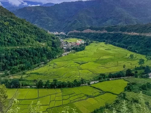 Ziro Puto panoramic viewpoint overlooking lush green paddy fields and scenic hills in Arunachal Pradesh tour packages.