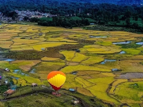 Ziro Valley scenic landscape with golden paddy fields and vibrant hot air balloon in Arunachal Pradesh tour packages.