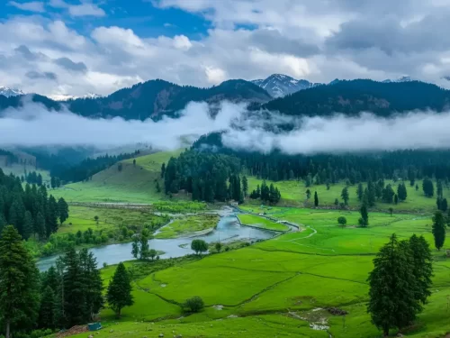 Misty Betaab Valley Pahalgam during cloudy day, featuring pine forests Lidder River meadows and snow-capped mountains, perfect adventure experience Kashmir tour packages.