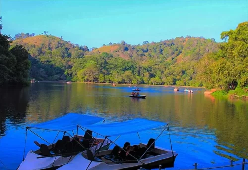 Pookode Lake