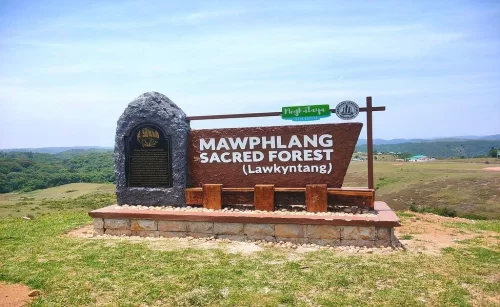 Sacred Forest of Mawphlang