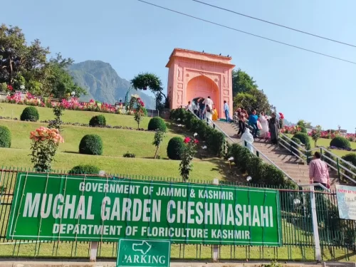 Chashme Shahi Mughal Garden Srinagar main entrance pink arch Government Floriculture Department sign Zabarwan hills terraced flowers parking featured in Kashmir tour packages