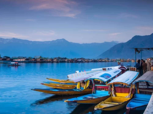 Docked colorful shikara boats Dal Lake Srinagar twilight snowcapped mountains houseboats featured in Kashmir Srinagar tour packages 