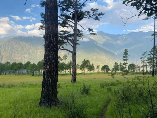 Dong Valley Sunrise View Point breathtaking sunrise over lush green meadows and majestic mountains in Arunachal Pradesh Package.