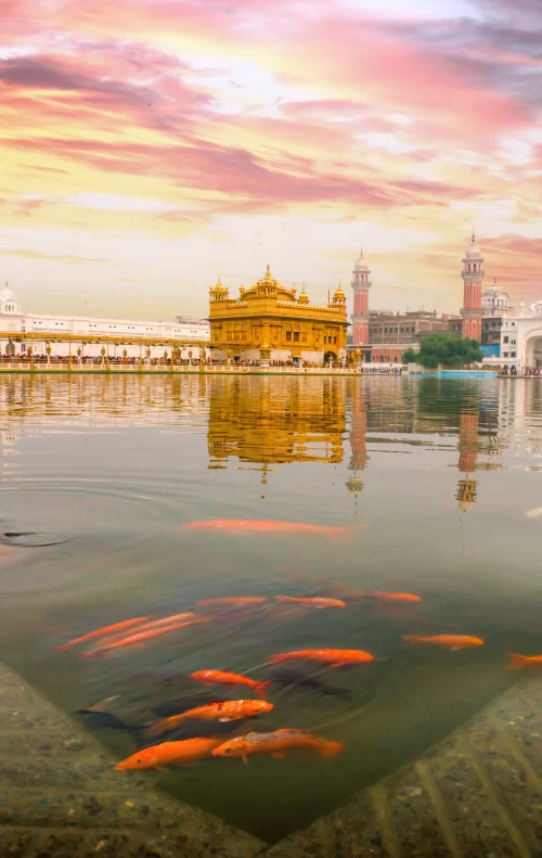 Golden Temple, Amritsar – sacred Harmandir Sahib with holy sarovar featured in Punjab tour packages