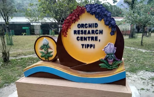 Tippi Orchid Research Centre 
