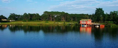 Thadlaskein Lake in Jaintia Hills featuring calm blue waters, scenic shoreline reflections, and lush pine trees, perfect nature experience with Meghalaya tour package.