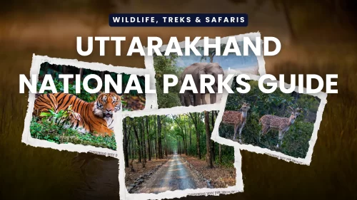 Uttarakhand National Parks Guide