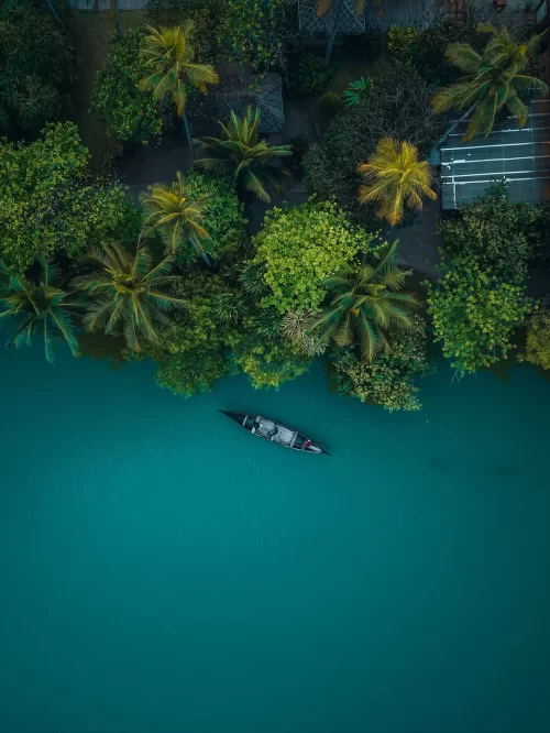 Aerial view of a traditional boat gliding through tranquil backwaters surrounded by lush palm trees near Kovalam, Kerala, a scenic highlight featured in Kerala tour packages.