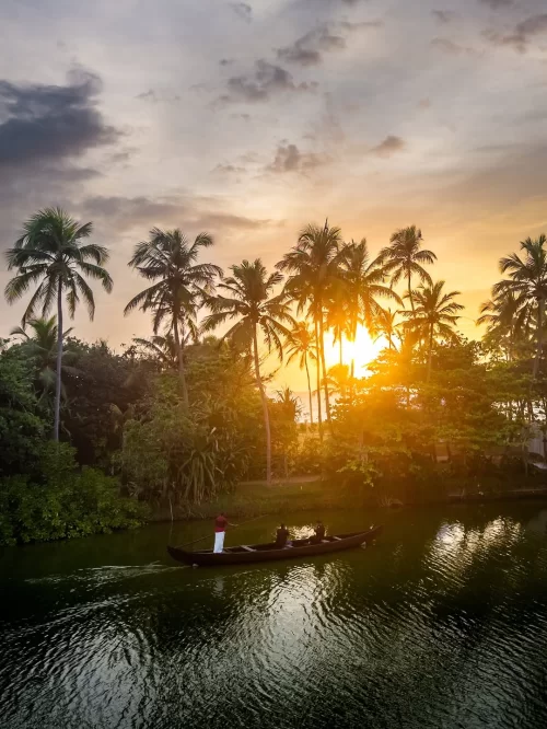 Serene backwater boat ride at sunset near Kovalam, Kerala, with palm trees reflecting on calm waters, a picturesque experience included in Kerala tour packages.
