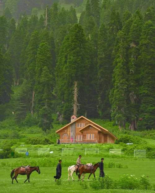 Horse riding in Aru Valley near Srinagar Kashmir with lush meadows and pine forests, a scenic countryside experience in Kashmir tour packages