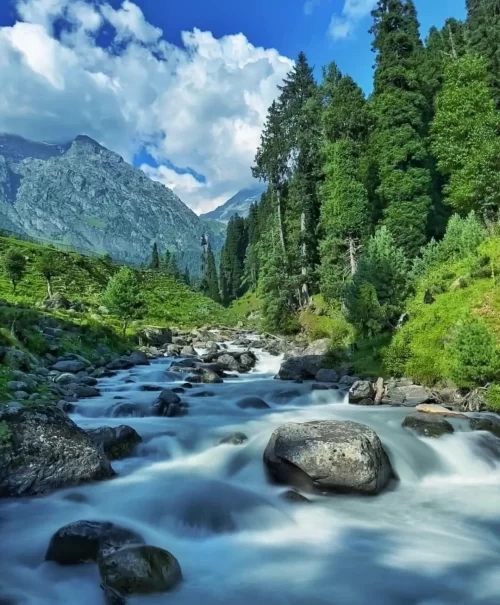 Crystal-clear river flowing through lush green valleys and pine forests in Kashmir, framed by majestic Himalayan peaks, a breathtaking landscape featured in Kashmir tour packages.