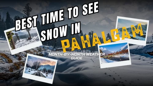 Best Time to See Snow in Pahalgam – Month-by-Month Weather Guide