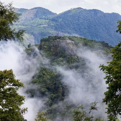 Misty rock outcrop view from Lambs Rock Viewpoint Coorg during cloudy day, featuring cliffs, forests, distant hills, fog, perfect panoramic experience Karnataka tour packages.