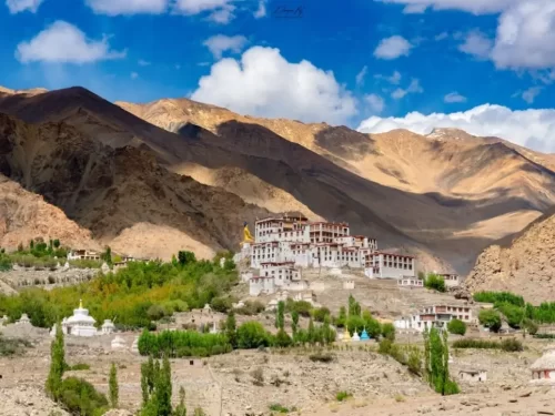 Stunning Likir Gompa Monastery Ladakh India perched on hillside with white red roofed buildings golden spires amid green poplar trees autumn foliage barren brown mountains blue sky clouds sunset glow, perfect Ladakh tour package.