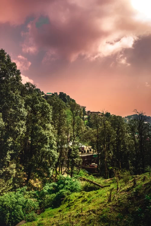 Scenic forested hills and hillside homes in McLeod Ganj, Himachal Pradesh, glowing under a colorful sunset sky, a peaceful hill station featured in Himachal Pradesh tour packages.