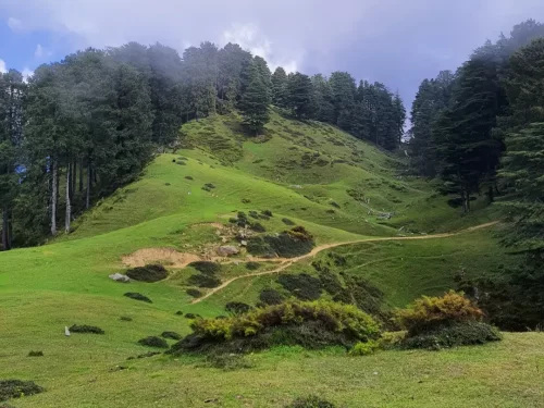 Moila Top in Chakrata, Uttarakhand with rolling green meadows and dense pine forests under misty skies, a peaceful trekking destination included in Uttarakhand tour packages