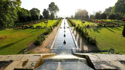 Central water channel and fountains at Nishat Garden Srinagar during sunrise, featuring flower beds, lawns and chinar trees, perfect romantic experience in Srinagar tour package. 
