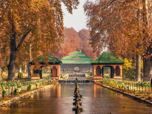 Chinar trees and pavilions at Nishat Garden Srinagar during autumn, featuring orange foliage, central pool and reflections, perfect romantic experience in Srinagar tour package. 