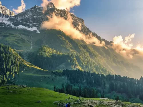 Hiker amid pines at Sonamarg during sunset clouds, featuring glacier mountains & meadows, perfect adventure experience Kashmir tour packages. 