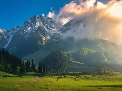 Snowy peaks at Sonamarg during sunset clouds, featuring pine forests & lush meadows, perfect romantic experience Kashmir tour packages. 