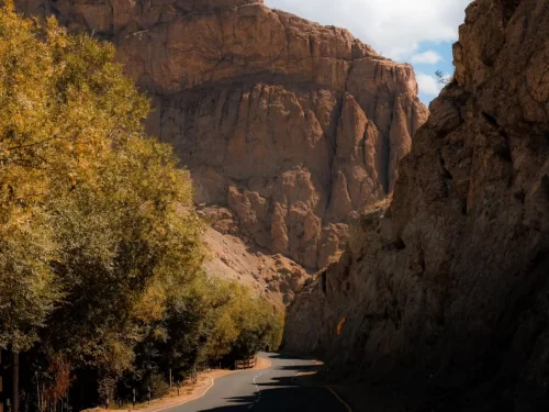 Winding Srinagar Leh Highway through narrow canyon on Kargil stretch Ladakh during autumn day, featuring golden poplar trees towering red rock cliffs partly cloudy sky, perfect scenic drive experience with Srinagar Leh Highway tour package.