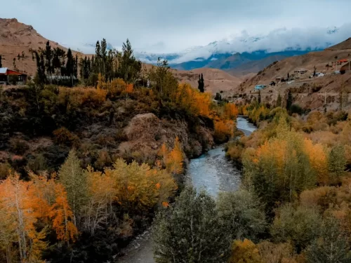 Autumn valley view along Srinagar Leh Highway near Kargil Ladakh during cloudy day, featuring golden poplar trees winding river village houses distant snowy Himalayas, perfect scenic road trip experience with Srinagar Leh Highway tour package. 