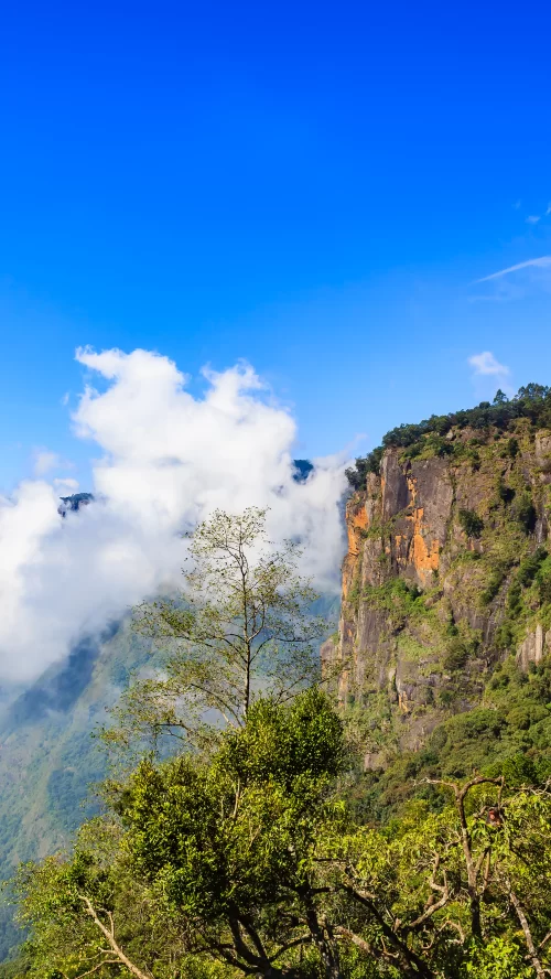 Majestic cliffs and mist-covered hills at Kodaikanal, Tamil Nadu, with lush greenery under a clear blue sky, a scenic hill station highlight featured in Tamil Nadu tour packages.
