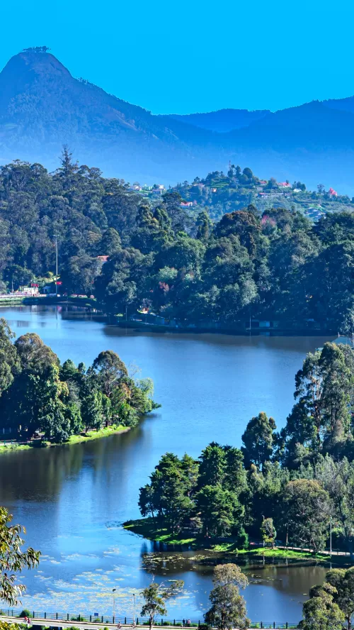 Scenic view of Kodaikanal Lake surrounded by lush green hills and dense forests in Kodaikanal, Tamil Nadu, a serene hill station highlight featured in Tamil Nadu tour packages.