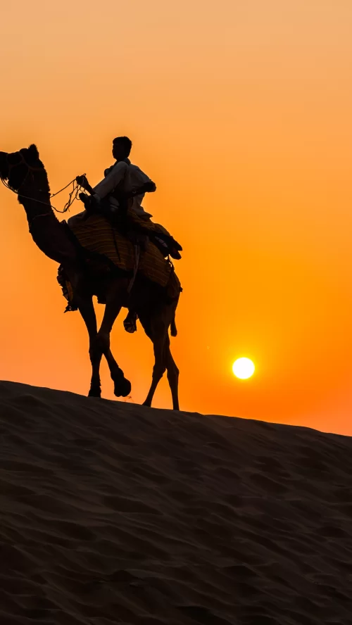 Camel safari in Jaisalmer Rajasthan during golden sunset over sand dunes showcasing desert adventure in Rajasthan tour packages