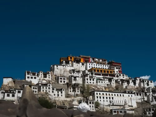 Towering Thiksey Gompa in Ladakh under clear blue sky, featuring layered white monasteries and colorful roofs, perfect Ladakh tour package.